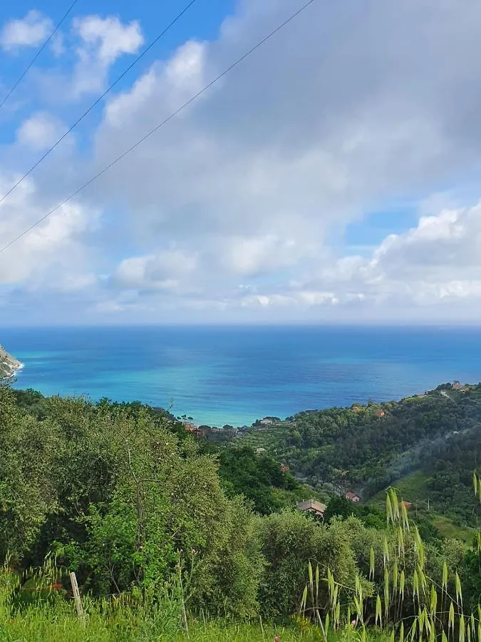 Apartment Ca Zelinda House Holiday Moneglia