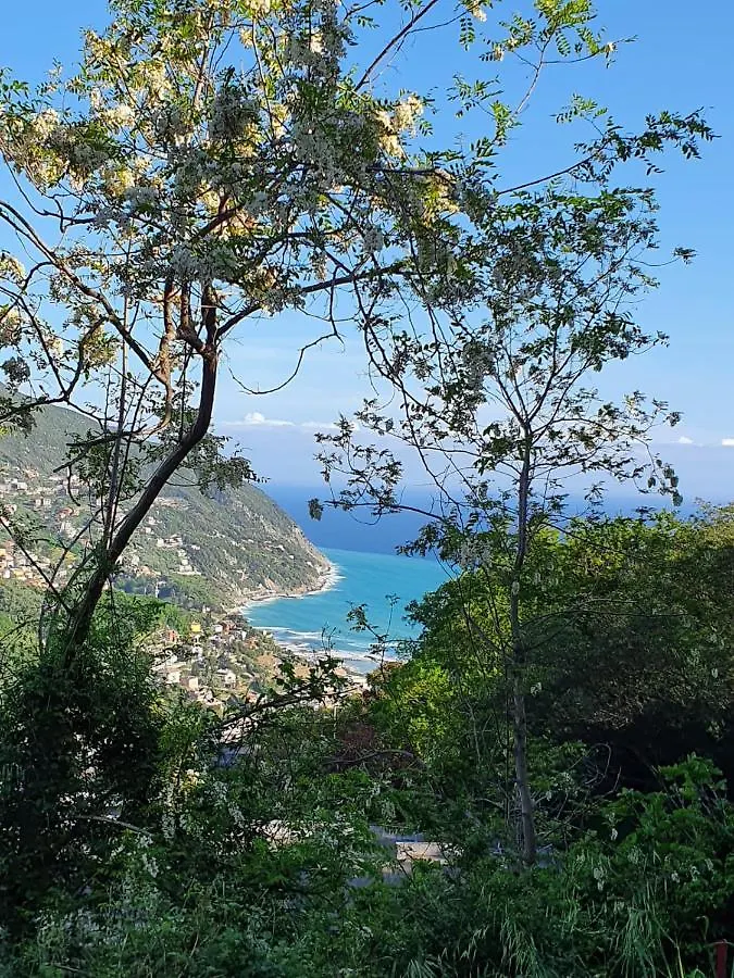 Ca Zelinda House Holiday Moneglia 0*,