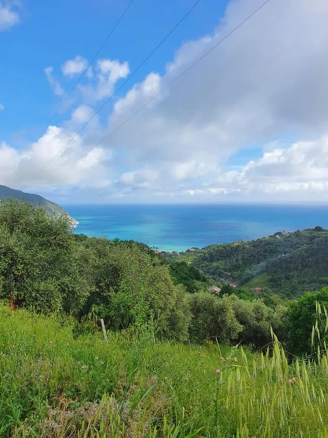 Ca Zelinda House Holiday Moneglia Apartment